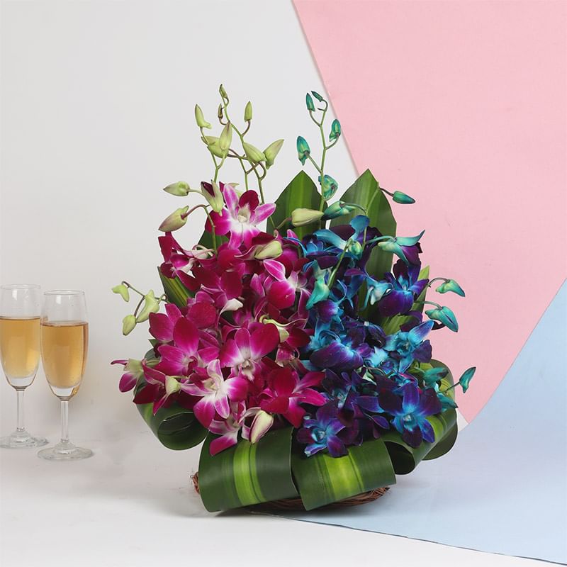 Gorgeous Orchids