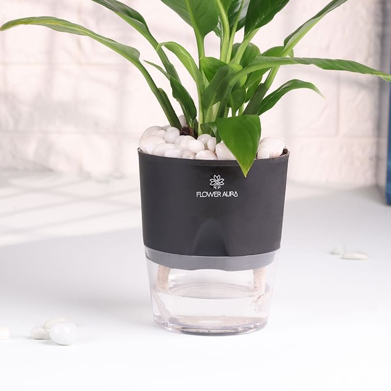 Product Image Video