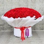 Majestic Red Roses Surprise