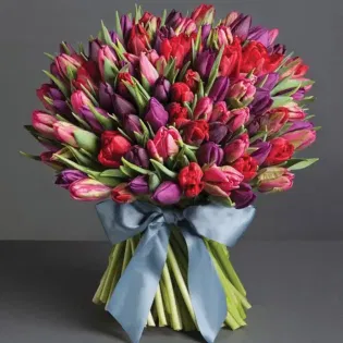 Exotic Garden Of Tulip Bunch