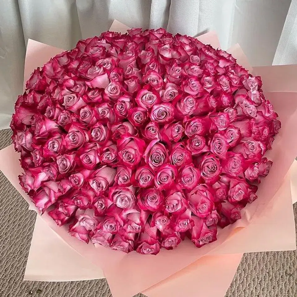 Elegant Purple Roses