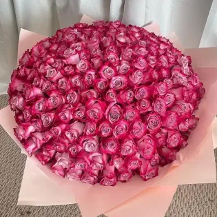 Elegant Purple Roses