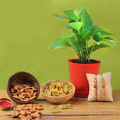 Green And Healthy Rakhi Combo