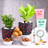 Green Bhaiya Bhabhi Rakhis With Plants N Treats