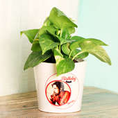 Green Money Plant in a Personalised Birthday Vase