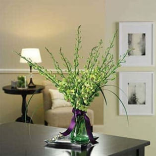 Green Orchids In A Vase