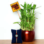 Lucky Bamboo Indoor Plant with Orchid Metal Vase and One Charming Designer Rakhi