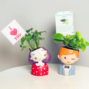 Valentine - Green Xanadu Plant Gift