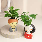 Green Xanadu Plant Gift With Vase