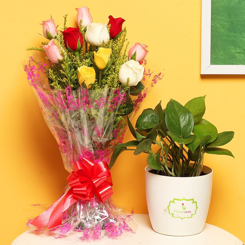 Greenery Forever - Good Luck Plant Indoors in FlowerAura Rhonda Vase with Bunch of 10 Mixed Roses