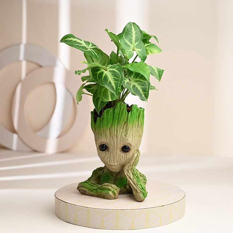 Groot Syngonium Halloween Gift