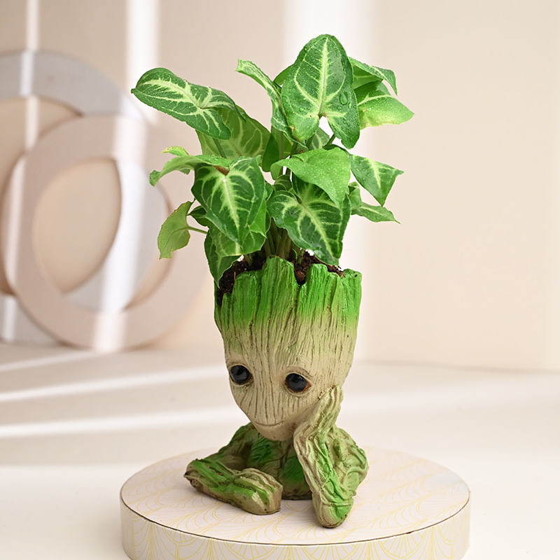 Groot Syngonium Halloween Gift