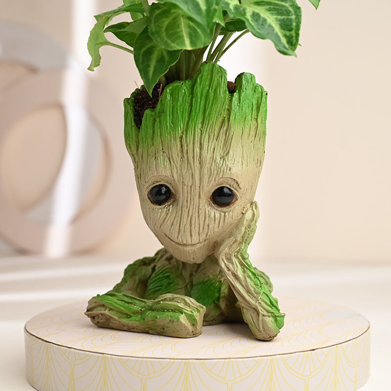 Groot Syngonium Halloween Gift