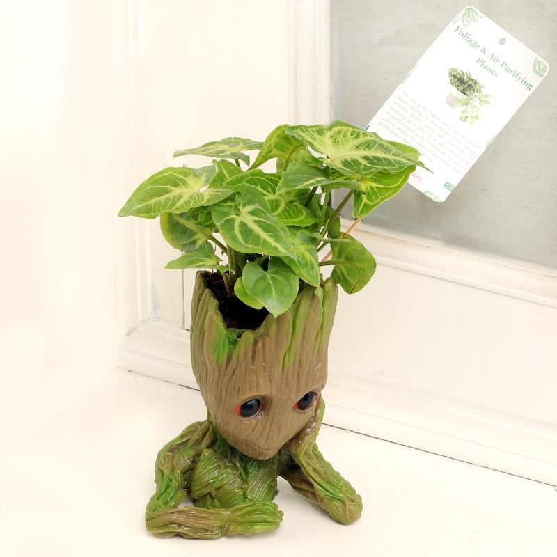 Groot Syngonium Halloween Gift