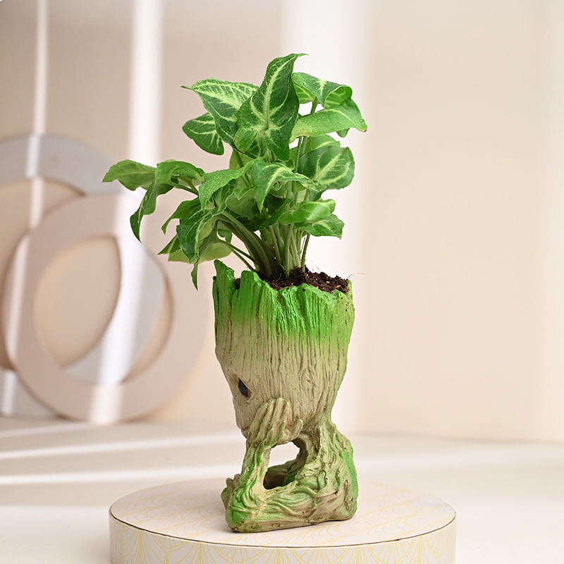 Groot Syngonium Halloween Gift