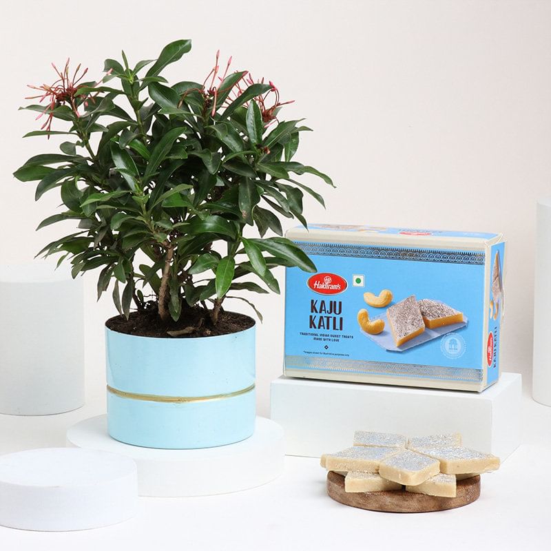 Product Image Video