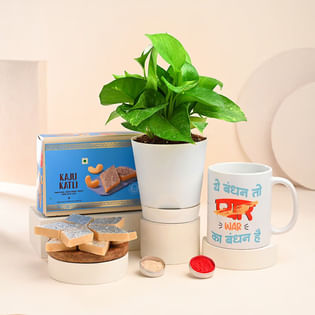 Haldirams Kaju Katli With Money Plant