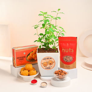 Haldirams Laddoo With Tulsi Plant N Nuts