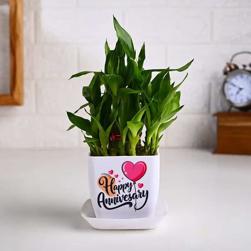 Product Image Video