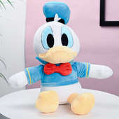 Front View of Blue Happy Duck Couple