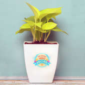 Happy Money Plant - A Gift for Mom