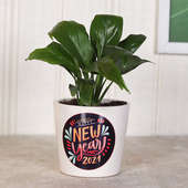 Peace lily Plant for Happy New Year Gift