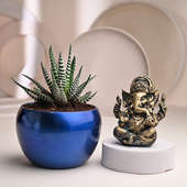 Haworthia Plant Combo Ganesha Idol