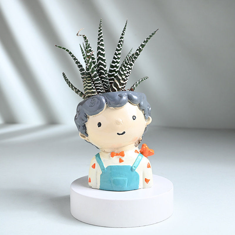 Haworthia Plant In Cute Boy Resin Pot