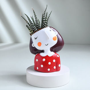 Haworthia Plant In Quirky Girl Pot