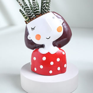 Shop Haworthia Plant Online