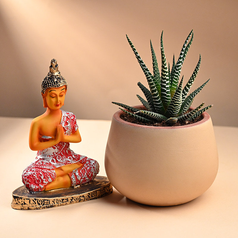 Haworthia Plant With Red Buddha Showpiece