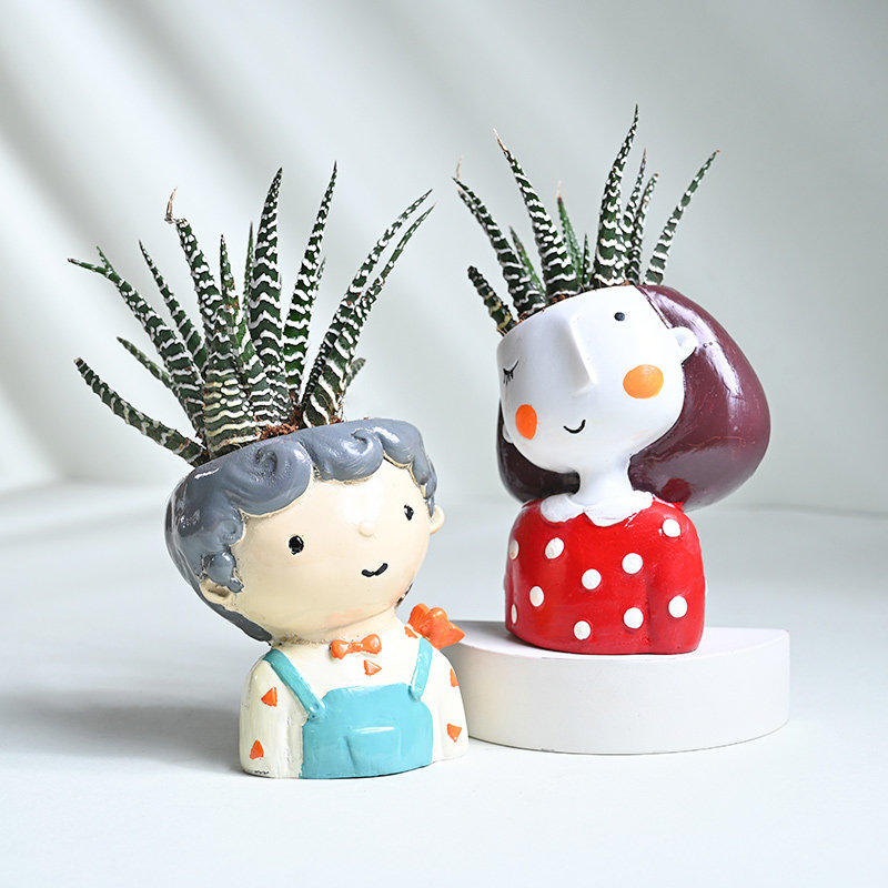 Haworthia Plants In Couple Themed Pot