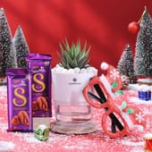 Haworthia With Chocolates N Xmas Glasses