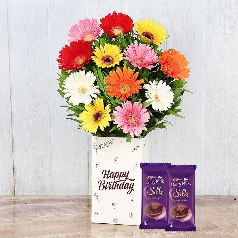 Hbd Silk N Mix Gerberas Combo - Bunch of 12 Mixed Gerberas with Birthday Flower Box and 2 Dairy Milk Silk