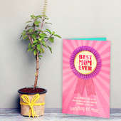 Tulsi Plant and a Card Combo for Mom