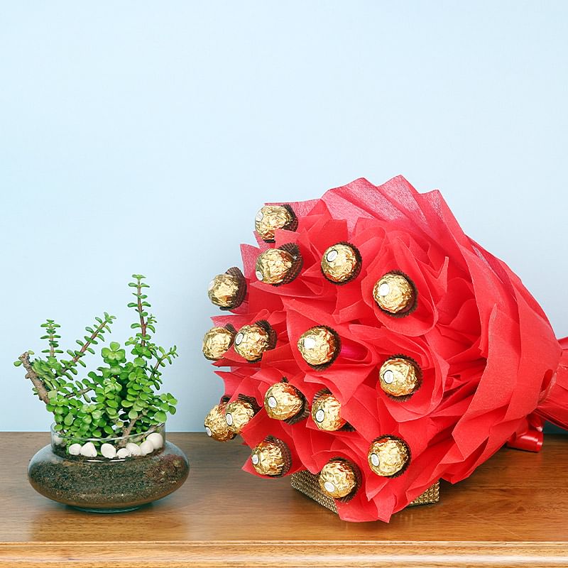 Heart Crafted Jade Combo - Foliage Plant Indoors in Potpourri Vase with Bouquet of 16 Ferrero Rocher Chocolates