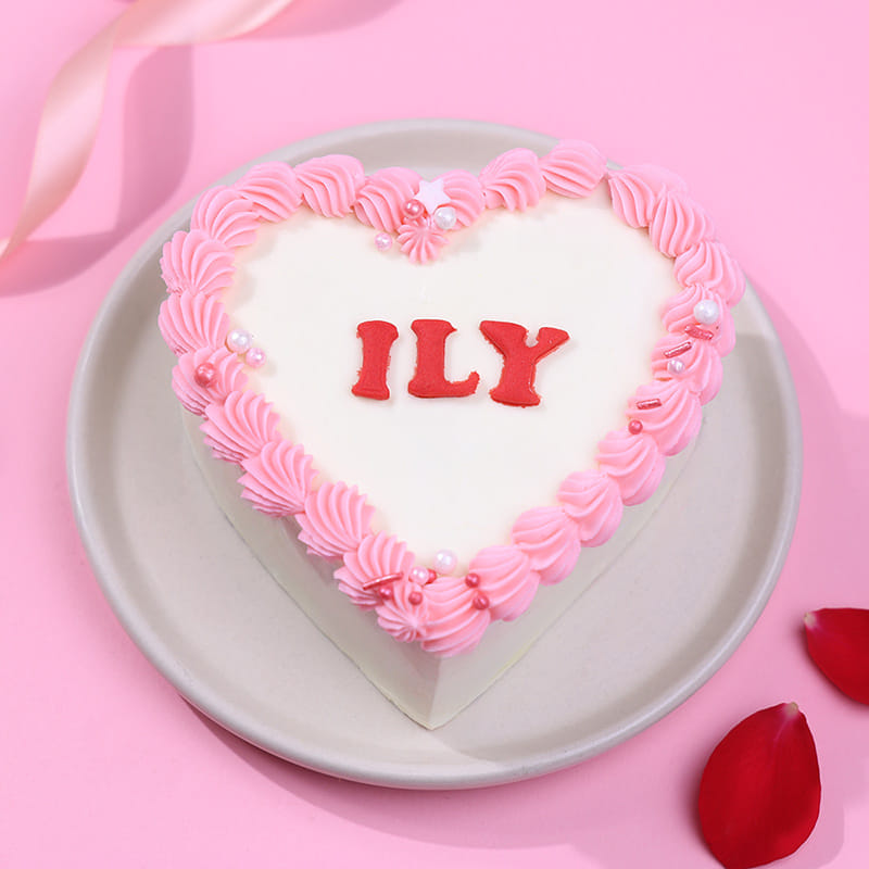 Heart Ily Chocolate Bento Cake