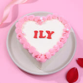 Heart Ily Chocolate Bento Cake