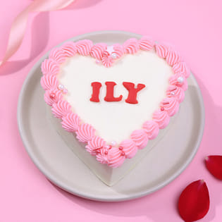 Heart Ily Chocolate Bento Cake