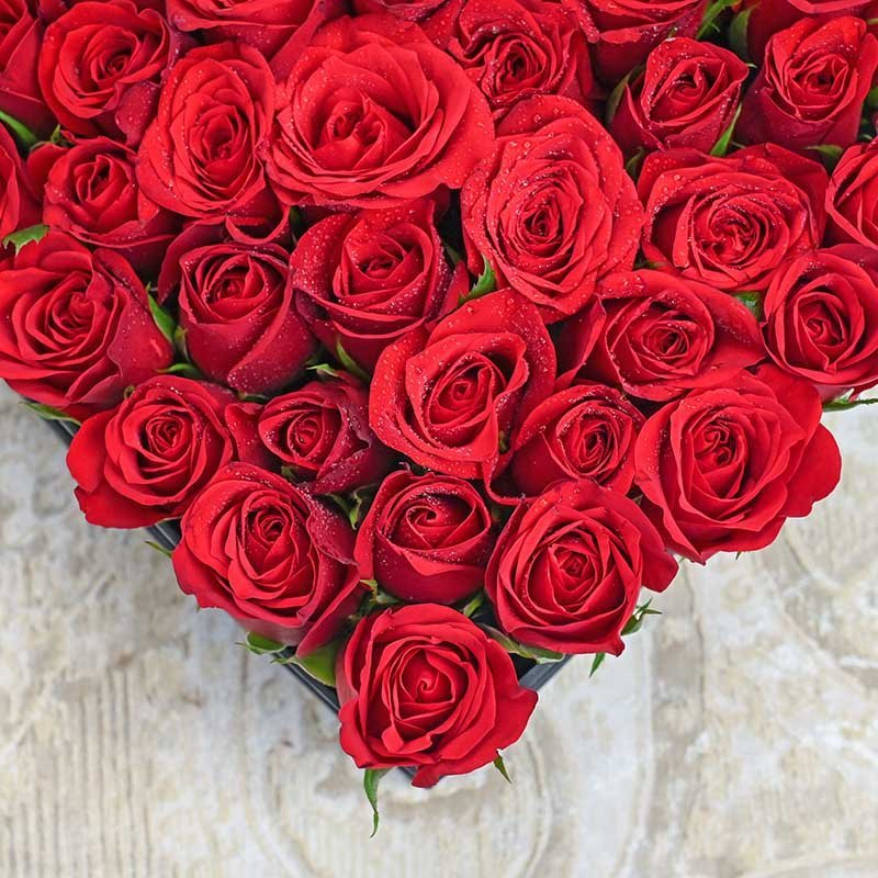 Zoom View of Hearty Red Rose Flower Combo