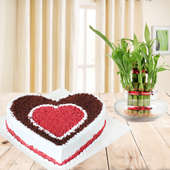 Heavenly Happiness Combo - Heart shaped choco red velvet cake with lucky bamboo plant
