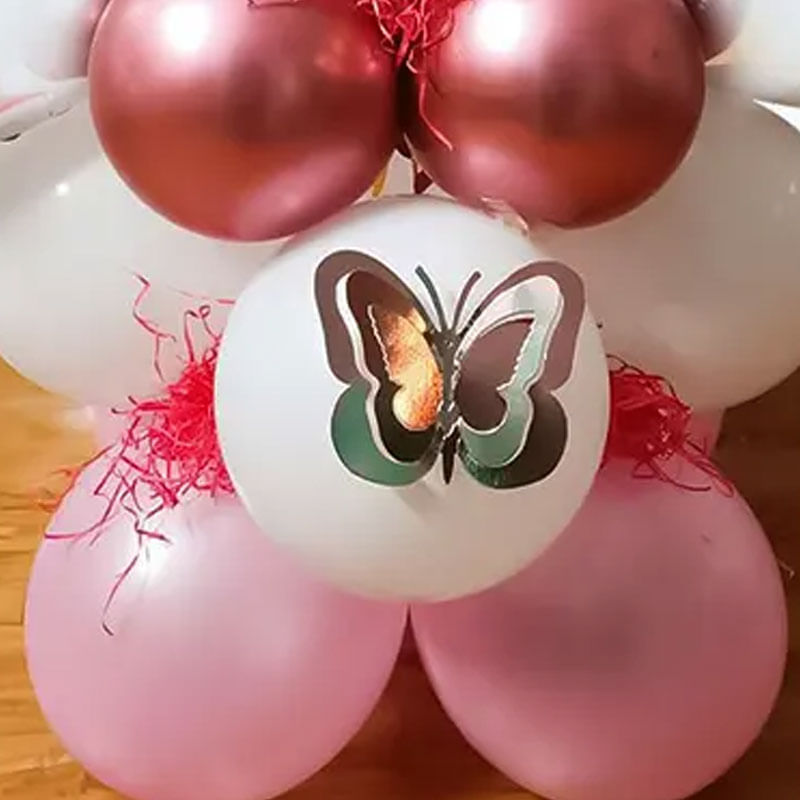 Product Image Video