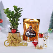Hersheys Almonds With Decoratives N Ficus Compacta