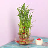 Triple Layer Bamboo with Gulal Holi Combo