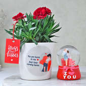 Homely Red Carnation Combo