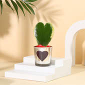 Hoya Plant In Heart Glass Vase