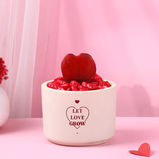 Hoya Red Sprayed Plant In Love Teracotta Pot