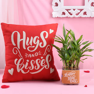 Hug Day Bamboo Plant N Cushion Combo