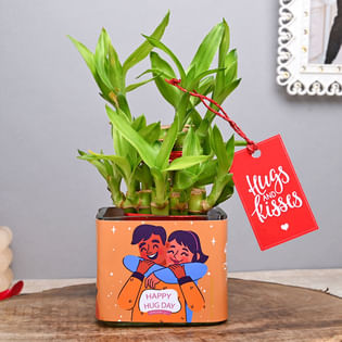 Hug Day Lucky Bamboo