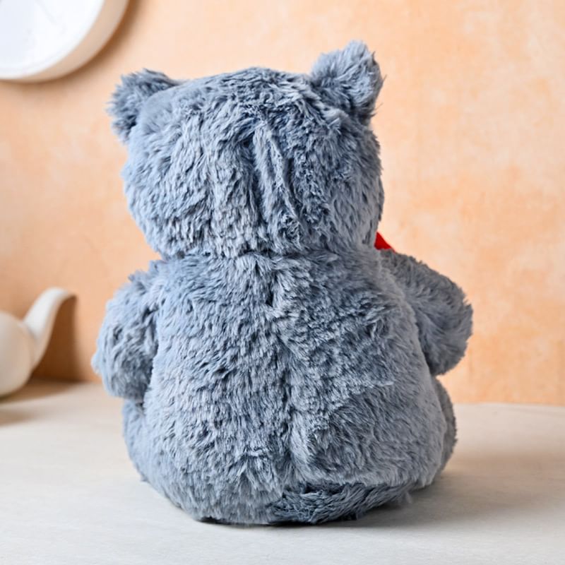  Hug Me Teddy Bear Medium 10 Inch for Teddy Day